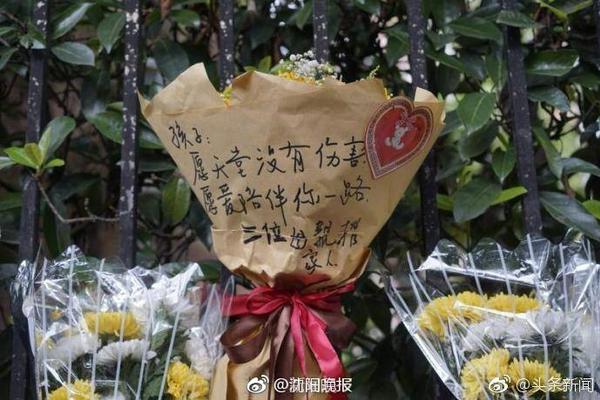 星空下载站官网最新版